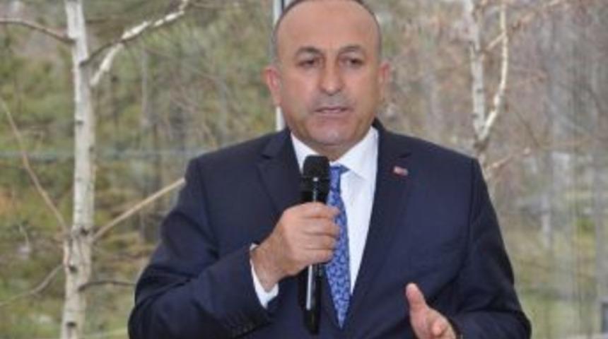 Ab Bakanı &Ccedil;avuşoğlu'ndan Paralel Yapı A&ccedil;ıklaması