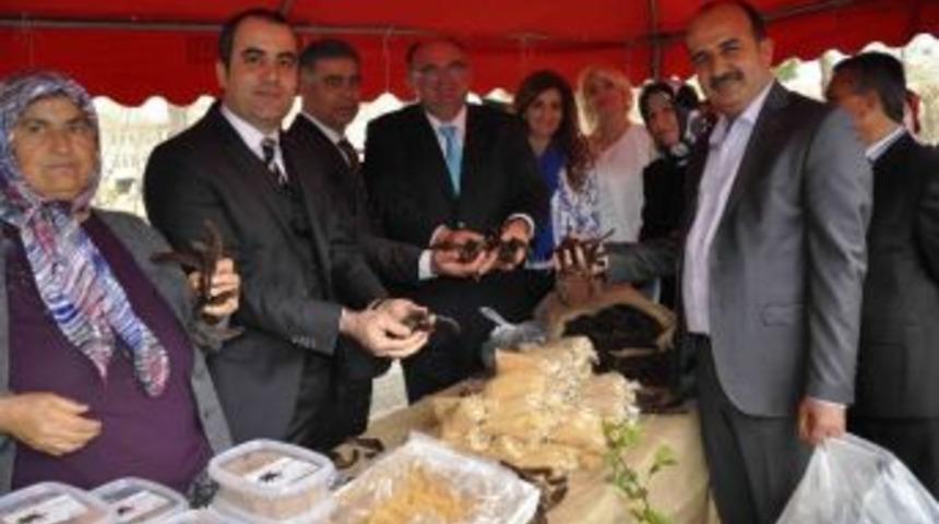 Recep Barut, Potansiyel İşkadınları Fuarı&rsquo;nda