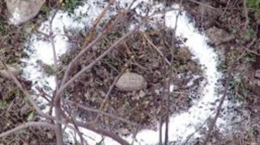 &Ccedil;apa Yaparken Bulunan El Bombası İmha Edildi