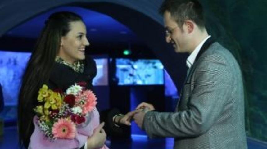 Sualtı D&uuml;nyası&rsquo;nda Mutluluğa İlk Adım