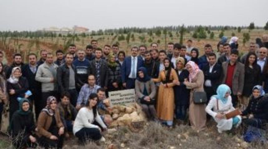 Tarih&ccedil;iler Ağa&ccedil; Dikti