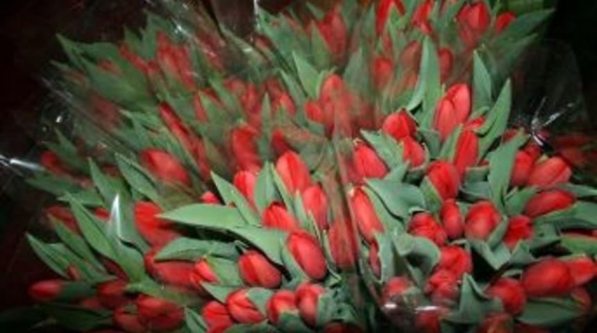 Corendon Hollanda&rsquo;da Kendi Lalesini Satışa Sundu!