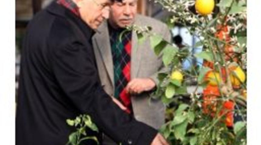 Yenimahalle Belediye Başkanı Yaşar, Seracılarla Bir Araya Geldi