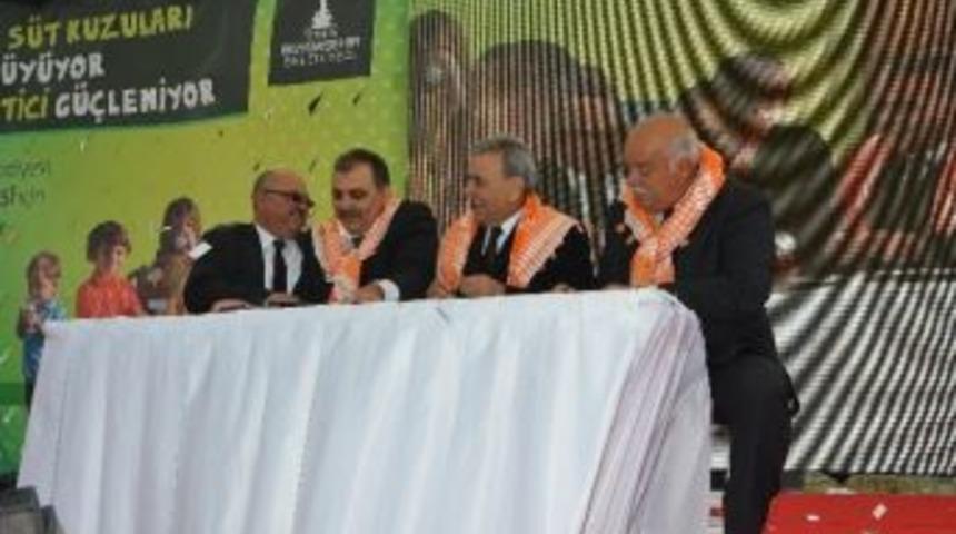 Tire'de S&uuml;t Bayramı