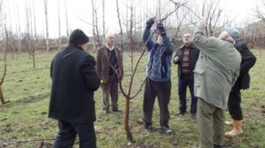 Aksaray’da Entegre Mücadele Sürüyor