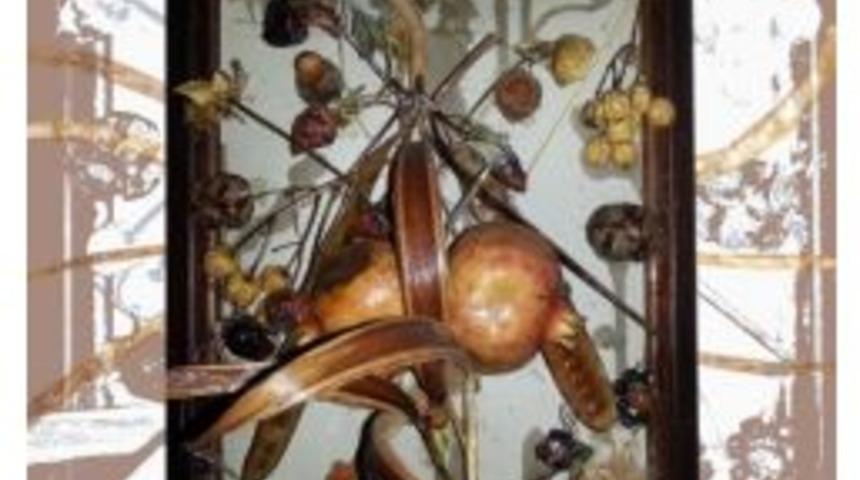 Muğla'da 8 Mart Dolu Dolu Ge&ccedil;ecek