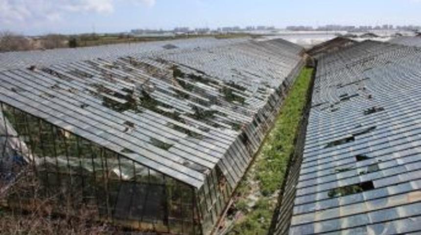 Şiddetli Yağış Aksu&rsquo;da Seralara Zarar Verdi