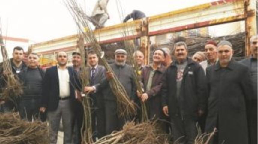 Sorgun&rsquo;da 7 Bin 300 Adet Meyve Fidanı Dağıtıldı