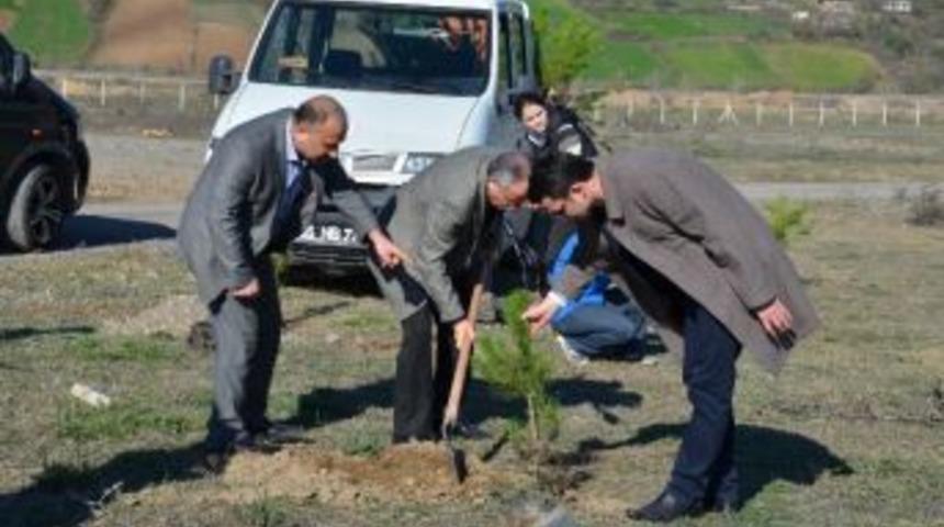&Ouml;ğrenciler Hatıra Ormanı Oluşturdu