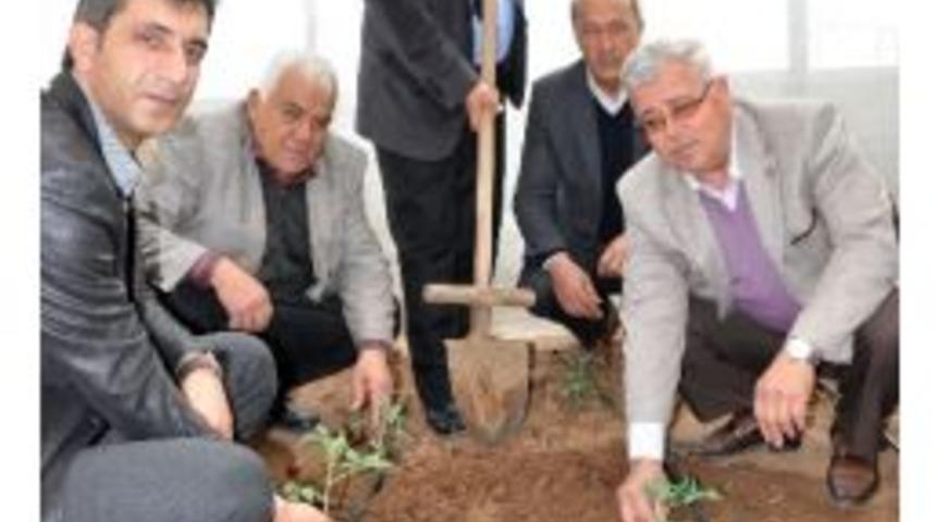 Beyaz Sinekle Avcı B&ouml;cekler M&uuml;cadele Edecek