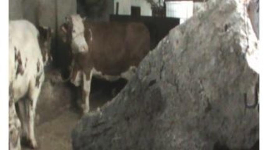 Marmaris'te Yağış Ve Fırtına Etkili Oldu