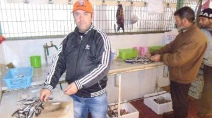 Balık Temizleme Timi G&uuml;nde Bir Ton Balık Temizliyor