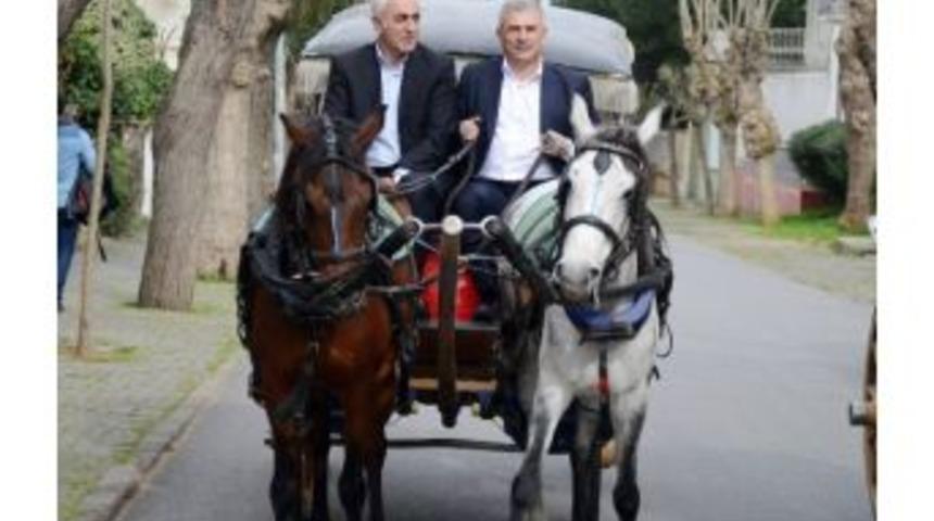 Faytonlu Se&ccedil;im &Ccedil;alışması