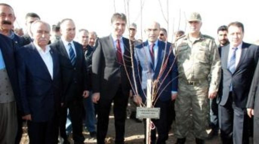 Jandarma&rsquo;dan 175. Yıl Anısına Fidan Dikildi