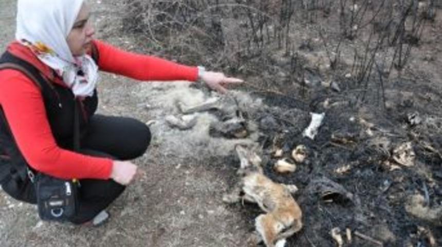 Amasya Belediye Başkanı'ndan Korkun&ccedil; İddiaya Cevap