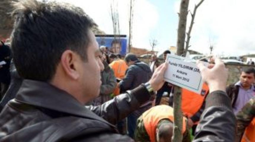 Erkek Şiddeti İle &Ouml;ld&uuml;ler, Fidanlarda Can Buldular