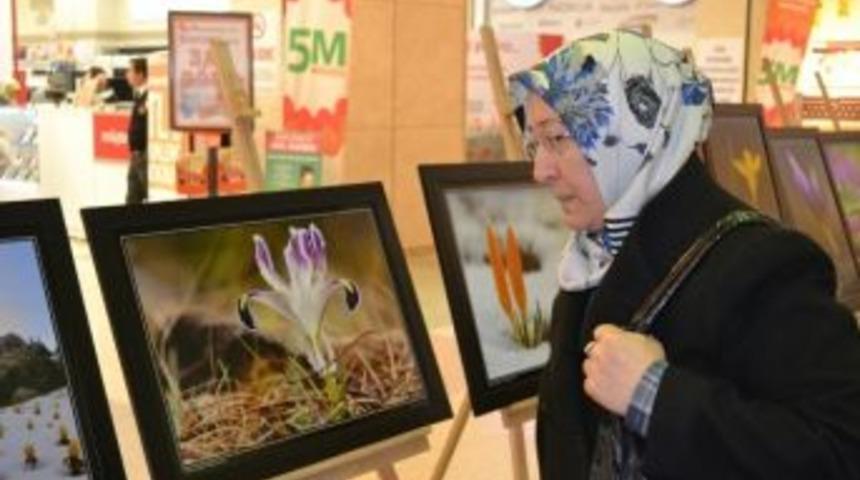 "her Aile Bir &Ccedil;i&ccedil;ektir" Sergisi Kahramanmaraş Piazza'da A&ccedil;ıldı