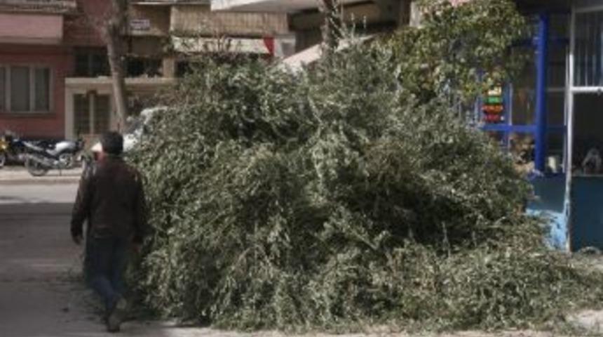 Fırınlarda Zeytin Dalı Yakılmasına Tepki