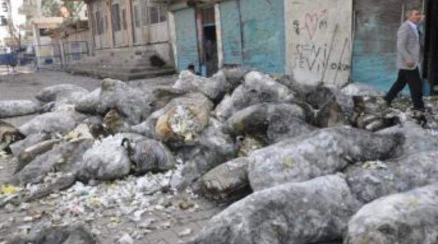 Molotof İsabet Eden İş Yeri Yandı