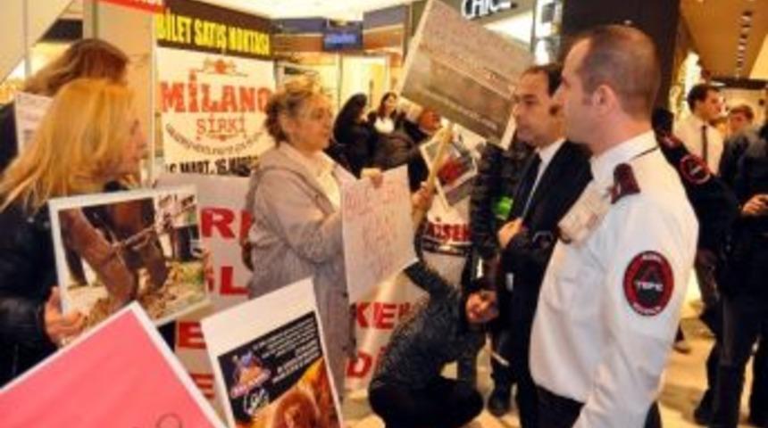 Sirk Protestosunda Gerginlik