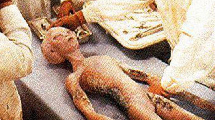 İşte uzaylıların tipleri!