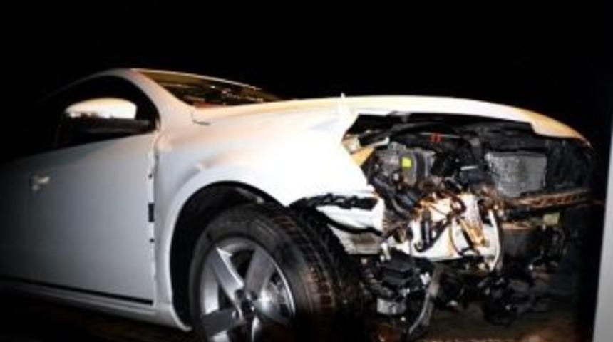 (&ouml;zel) Tosya D-100&rsquo;de Araba İle Ayıya &Ccedil;arptı