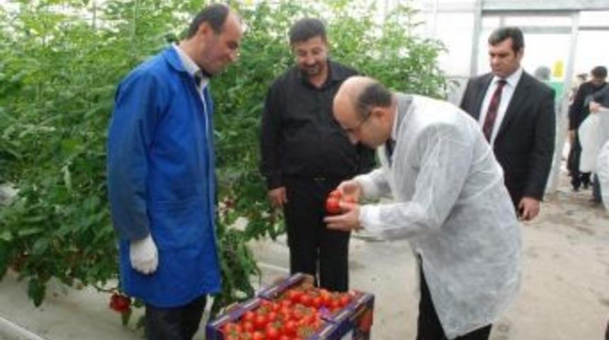 Adıyaman Kırsal Kalkınma Projelerinin Meyvelerini Alıyor