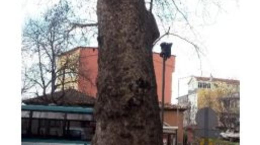 Anıt &Ccedil;ınara Tırmanıp Mahsur Kalan Vatandaşı İtfaiye Kurtardı