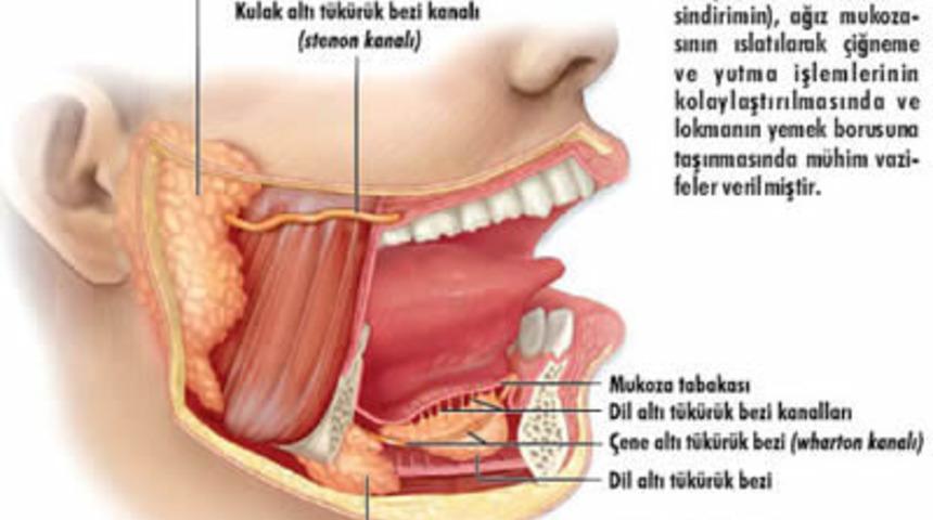 T&uuml;k&uuml;r&uuml;ğ&uuml;n inanılmaz etkisi!