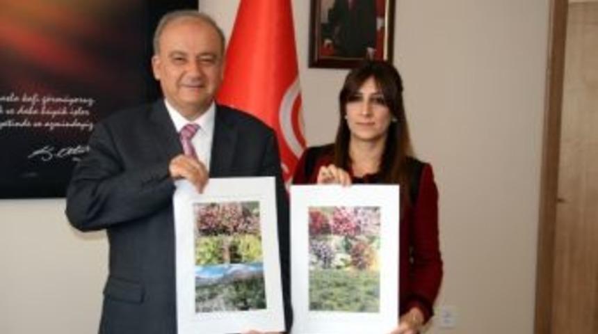 Tunceli&rsquo;de Tespit Edilen İki Yeni T&uuml;rle D&uuml;nyadaki Kenger Sayısı 8&rsquo;e &Ccedil;ıktı