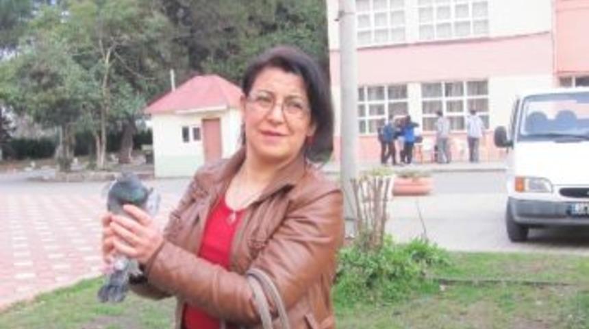&Ouml;ğretmen Lisesi&rsquo;nde G&uuml;vercin Operasyonu