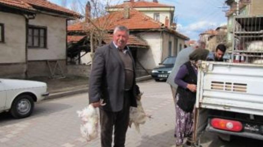 Hisarcık&rsquo;ta Dar Gelirli Vatandaşın Tercihi Canlı Tavuk