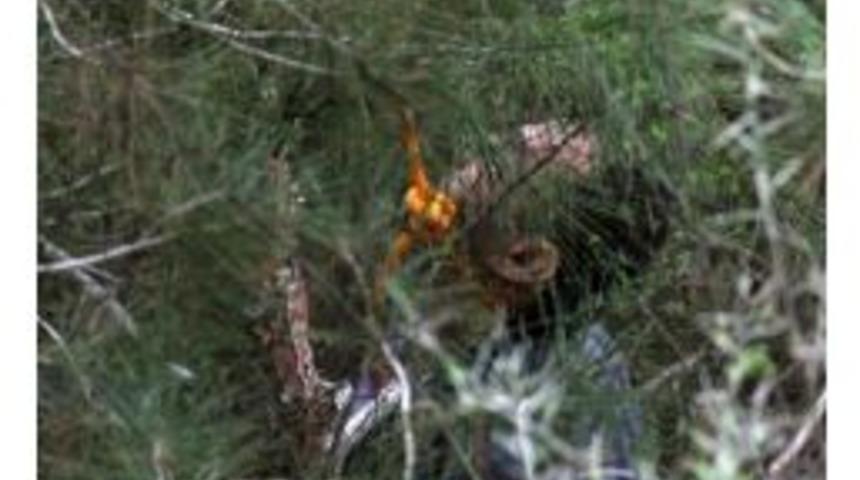 &Ccedil;ocukları G&ouml;sterilmeyince Kendini Astı