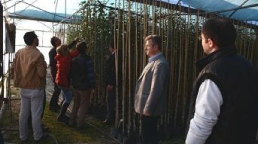 Erzurum Fidanlık M&uuml;d&uuml;rl&uuml;ğ&uuml; Fidanlık Ekibince Batı Fidanlıkları Ve &Ouml;zel Sekt&ouml;r Fidanlıklarına Teknik Gezi Yapıldı