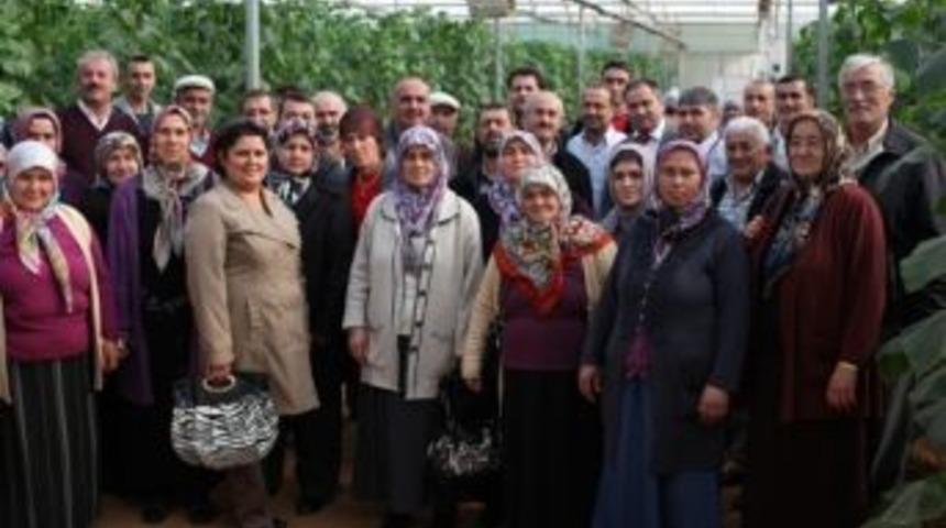 250 &Ccedil;ift&ccedil;iye Eğitim