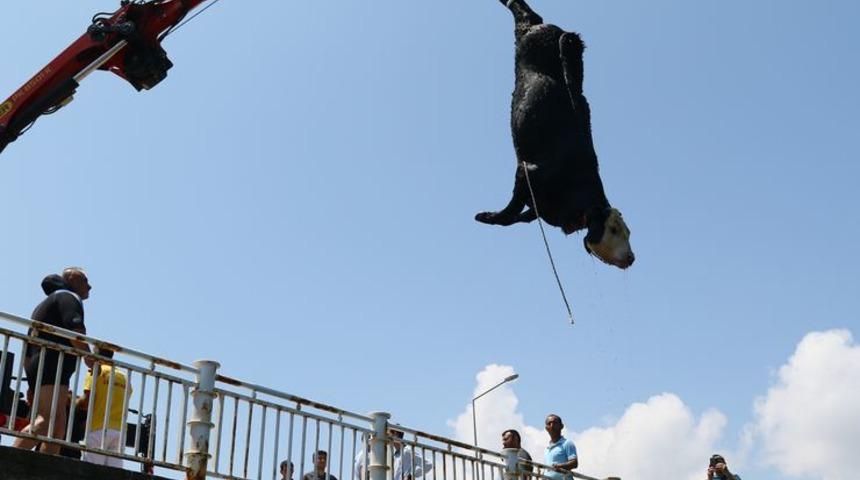 Gemiden kaçan angusu denizde kestiler!