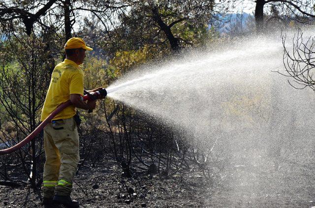 Manisa'da orman yangını (2) 