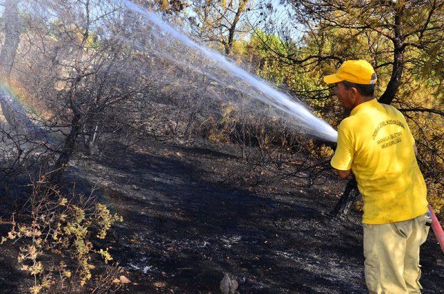 Manisa'da orman yangını (2) 