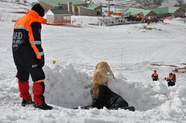 Erzurum’da Gerçeği Aratmayan Çığ Tatbikatı