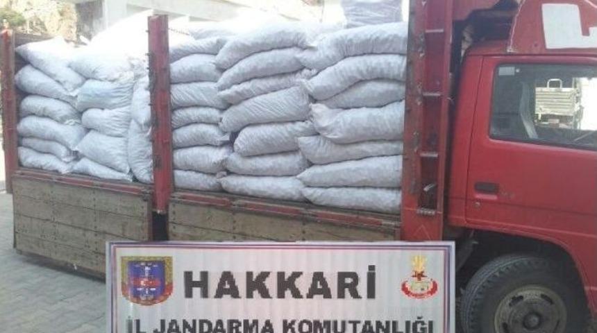 Hakkari'de Ka&ccedil;ak&ccedil;ılık Faaliyetleri