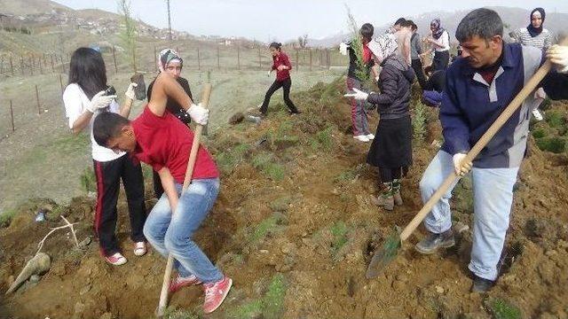 Kulplu Öğrenciler, Devlet Hastanesi Bahçesine Fidan Dikti