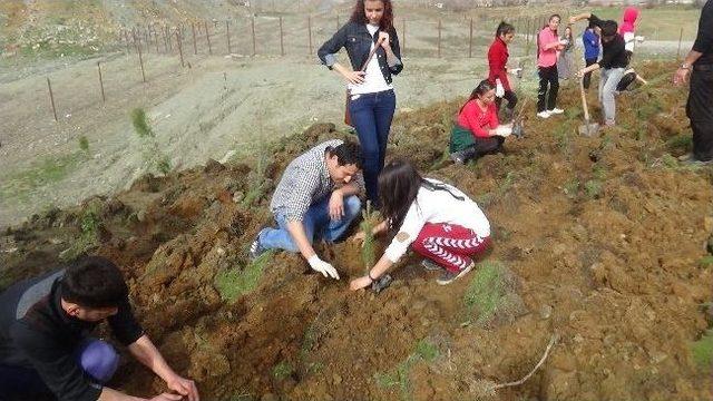 Kulplu Öğrenciler, Devlet Hastanesi Bahçesine Fidan Dikti