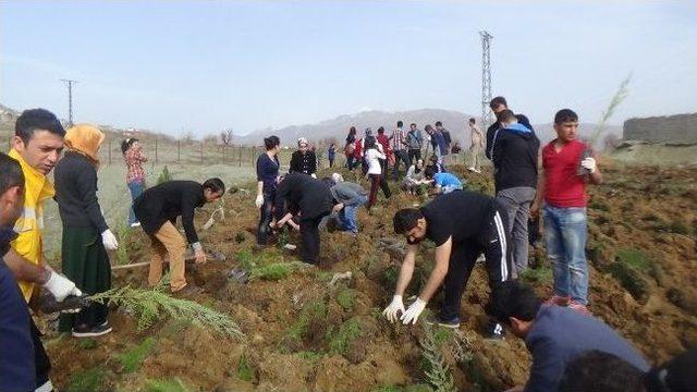 Kulplu Öğrenciler, Devlet Hastanesi Bahçesine Fidan Dikti