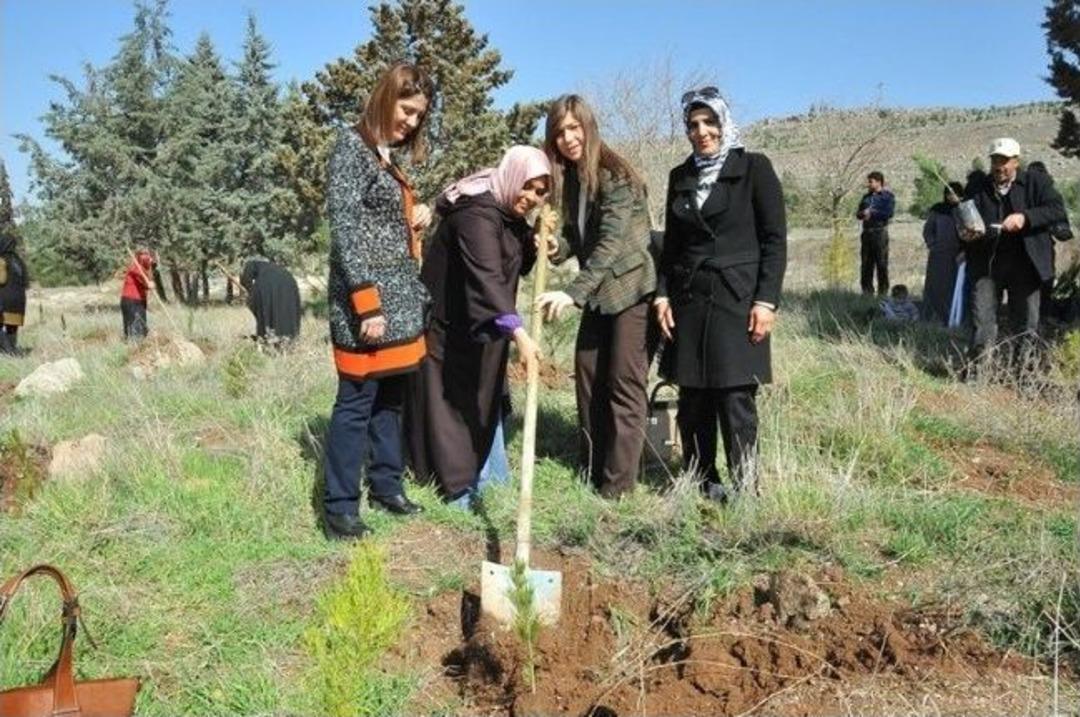 D&uuml;nya Kadınlar G&uuml;n&uuml;&rsquo;nde Ağa&ccedil; Diktiler