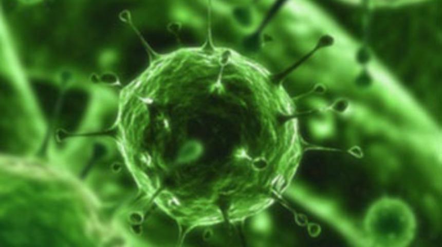 Nil Vir&uuml;s&uuml; T&uuml;rkiye'de 3 can aldı