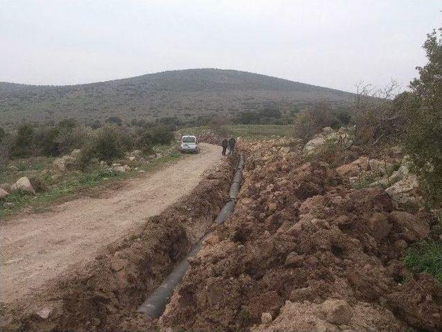 İzsu’dan Dikili’ye “hayat Öpücüğü”