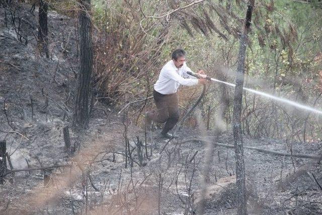 Hatay da Orman Yangını 1