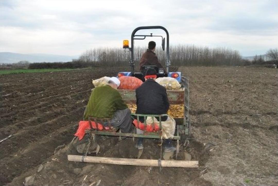 İneg&ouml;l&rsquo;de Patates Ekimi Başladı