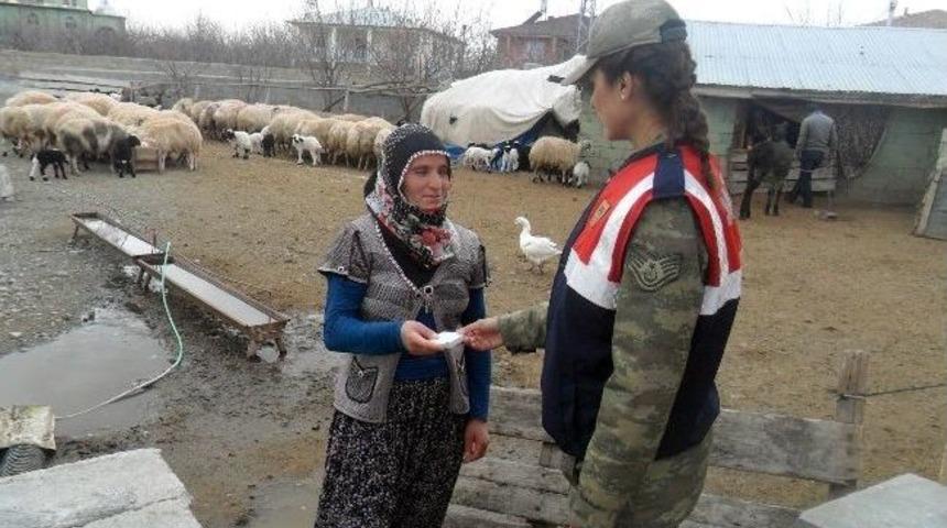 İl Jandarma Komutanlığından D&uuml;nya Kadınlar G&uuml;n&uuml; Etkinliği