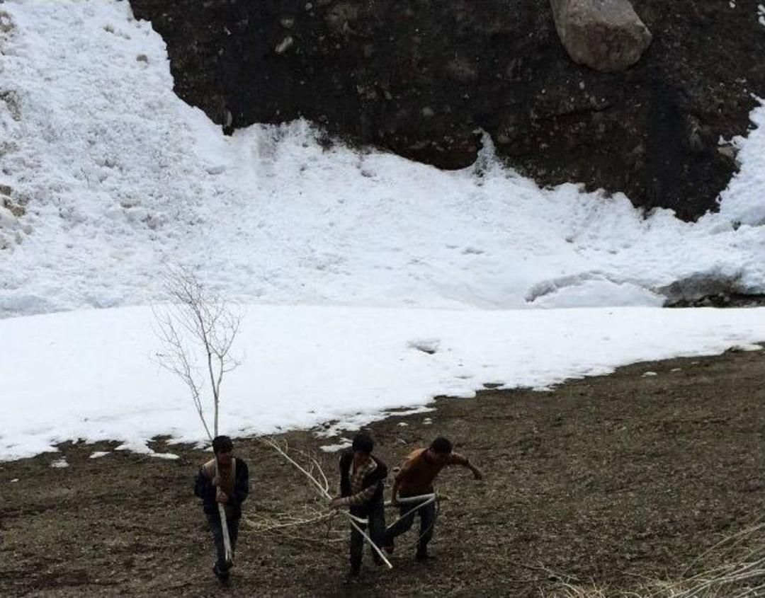 &Ccedil;ığ Getiriyor Onlar Topluyor